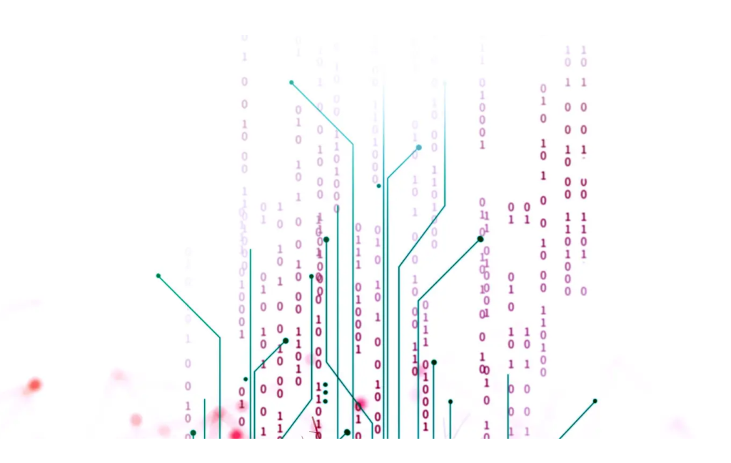 arbol web circuito trading